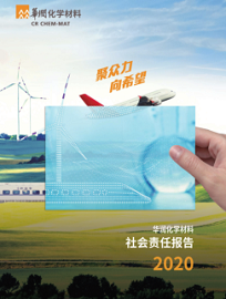 2020年責(zé)任報(bào)告